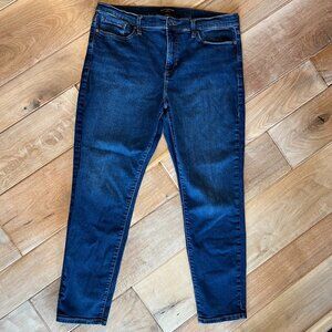 Women's Banana Republic Skinny Jeans, Plus Size 16, 33